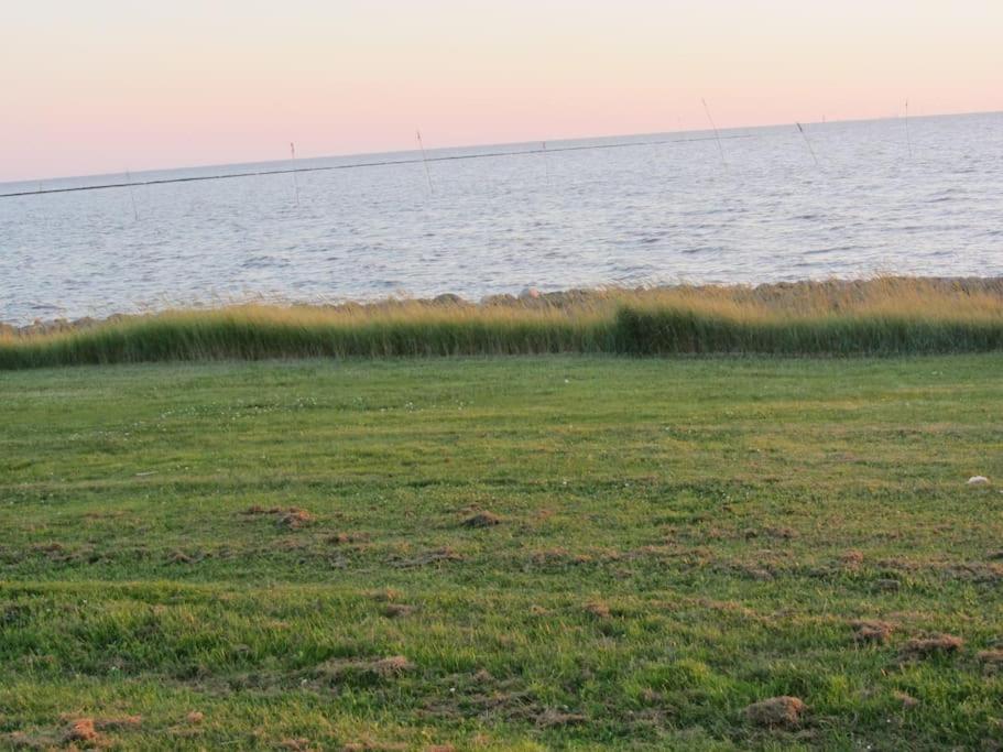 Nordsee Und Natur. Gemuetliche Fewo Mit Deichblick Dorumer Neufeld Exterior foto